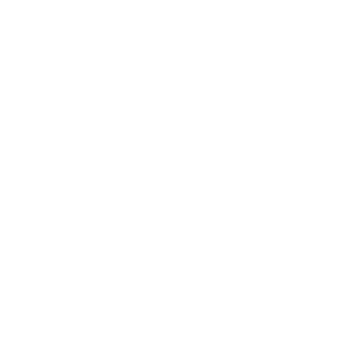 Excess baggage international courier service icon