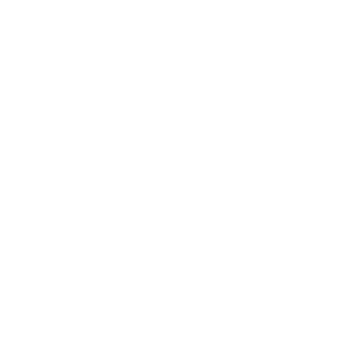 Hans Air Express vision and future goals icon