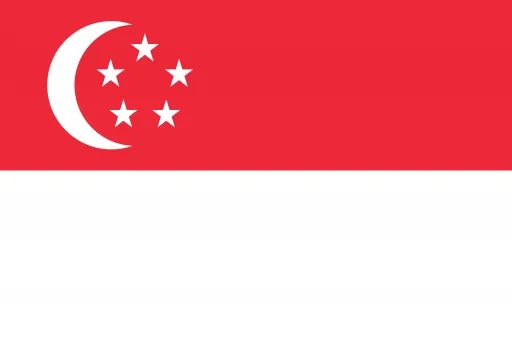 Singapore flag – air cargo services to Singapore