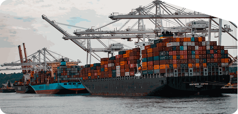 Surface and bulk transport services for heavy cargo and business logistics – Hans Air Express Mumbai